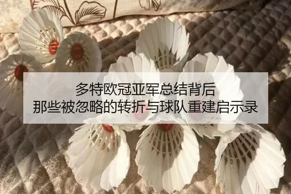 多特欧冠亚军总结背后 那些被忽略的转折与球队重建启示录